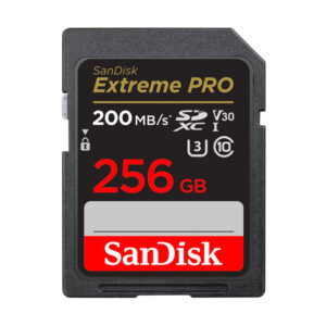 256GB SanDisk