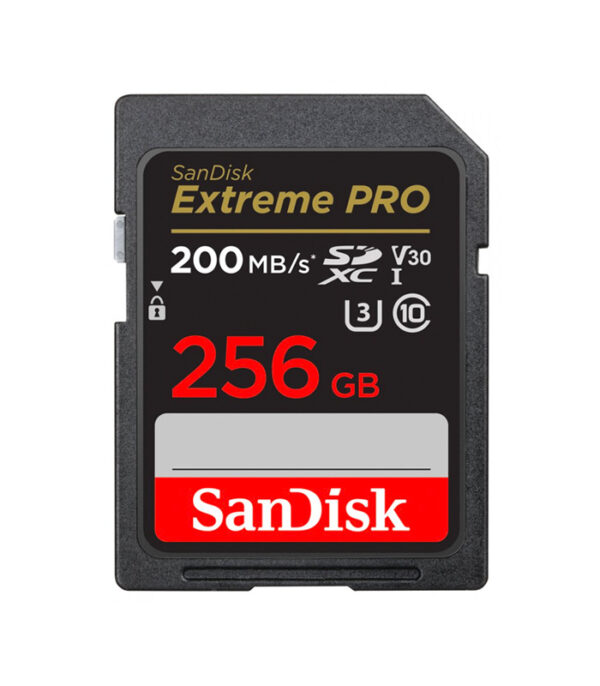 256GB SanDisk
