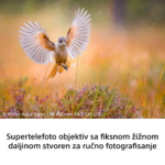 Sony FE 400mm F4.5 GM OSS - Slika 9