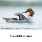 Sony FE 400mm F4.5 GM OSS - Slika 11