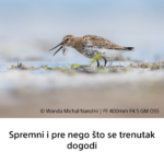 Sony FE 400mm F4.5 GM OSS - Slika 12