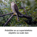 Sony FE 600mm F6.3 GM OSS - Slika 12