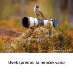Sony FE 600mm F6.3 GM OSS - Slika 10