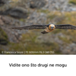 Sony FE 600mm F6.3 GM OSS - Slika 8